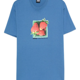 Blue t-shirt, front view