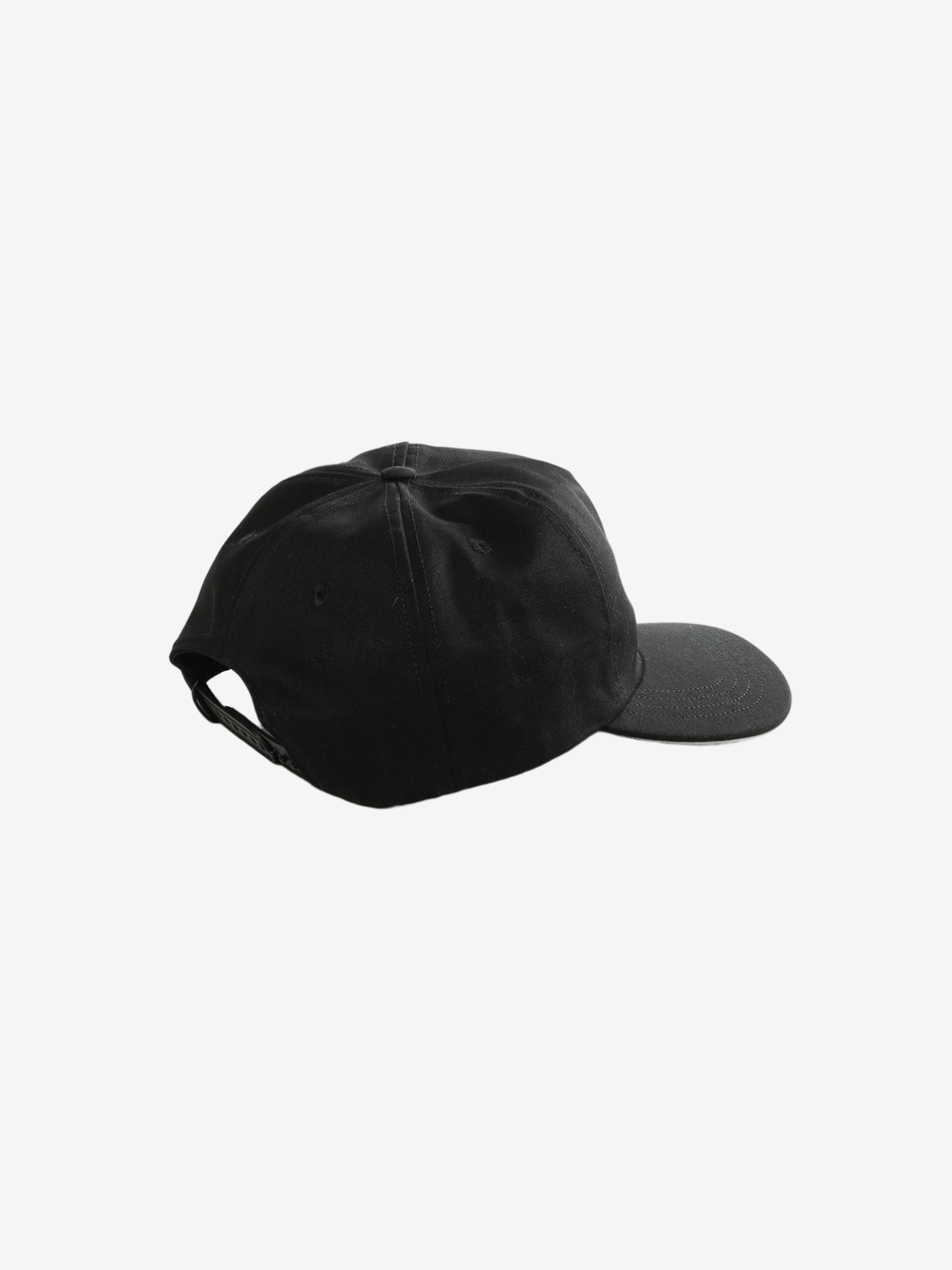 Black hat, back view