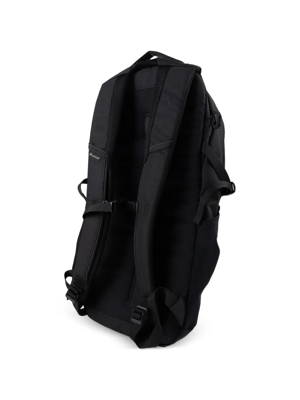 Black bag, back view