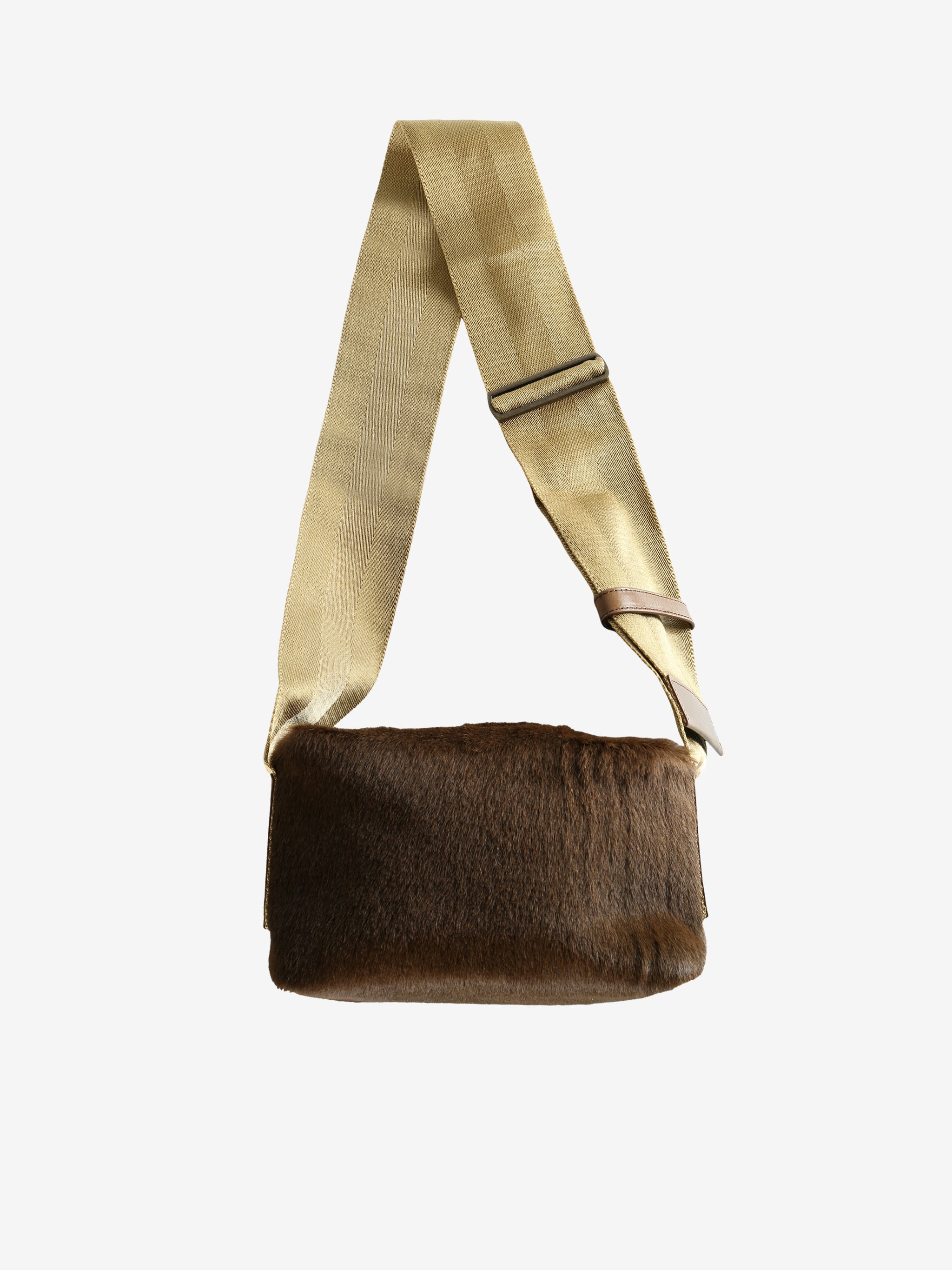 Brown bag,front view