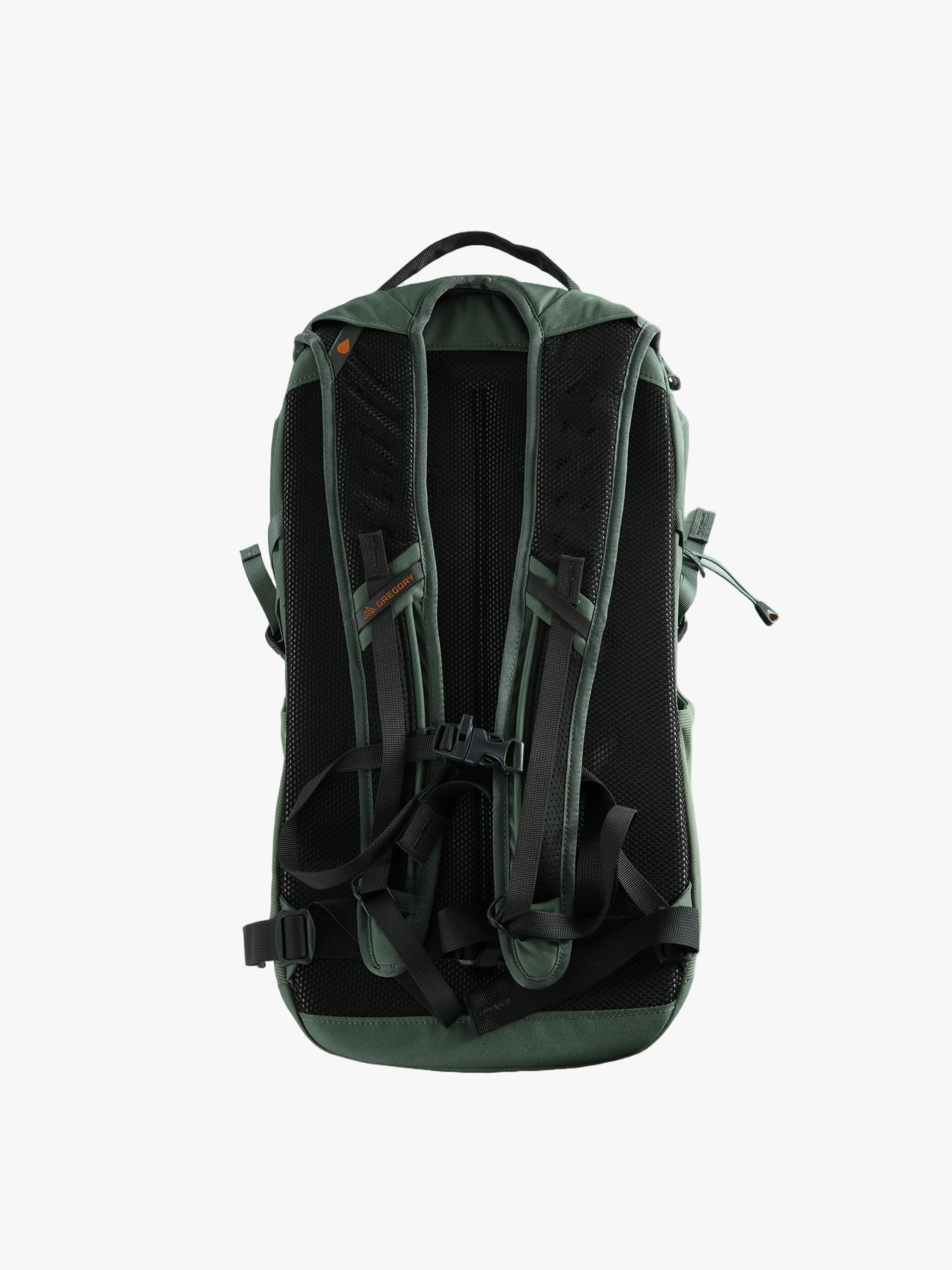 Green bag, back view