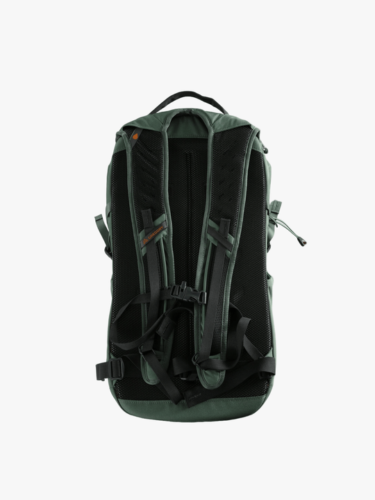 Green bag, back view