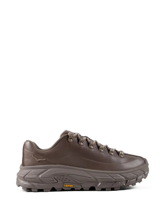 Brown shoes, front view
