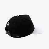 Black hat, back view