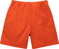 STUSSY - Men Stock Logo Short