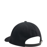 Black hat, back view