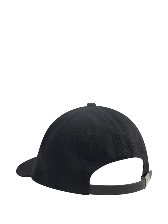 Black hat, back view
