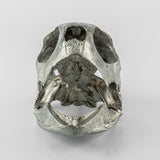 PARTS OF FOUR- Turtle Skull (Var Held Aggression, MZ)