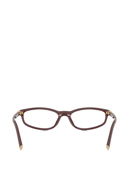 Brown eyewear, front view