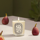DIPTYQUE - Figuier Classic Candle