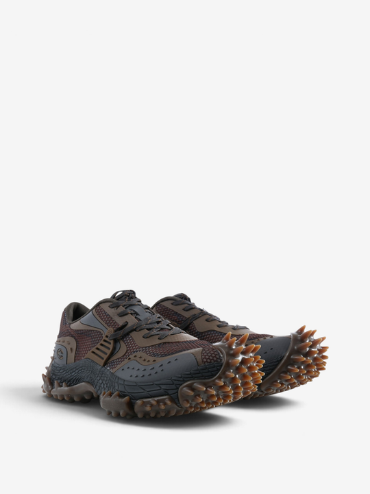 Brown shoes, front view