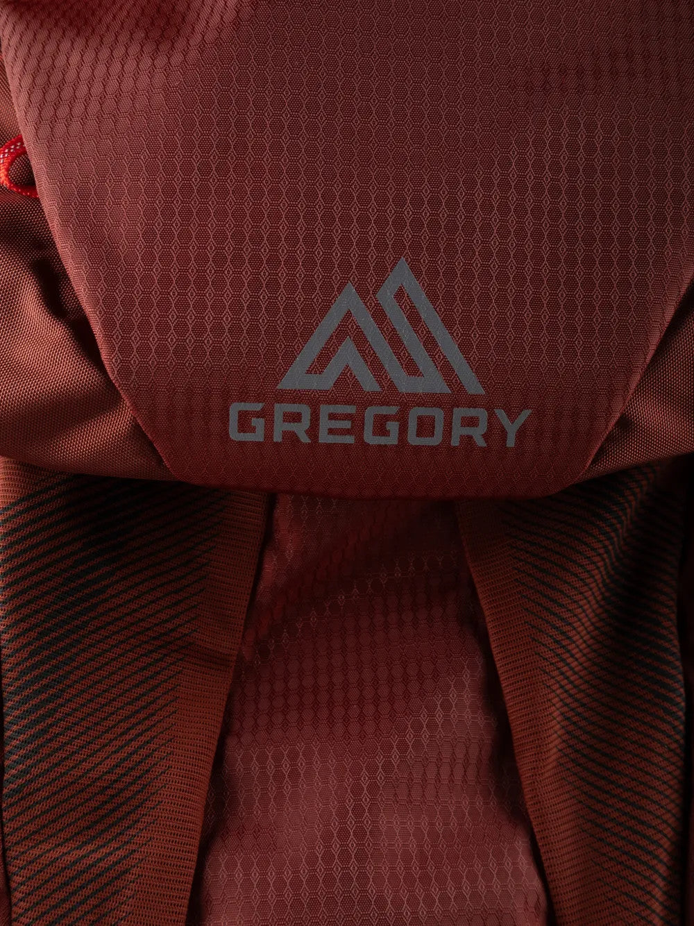 Close up of Burgundy bag, showing detail