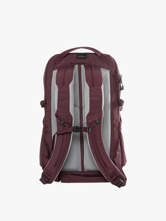 Burgundy bag, back view