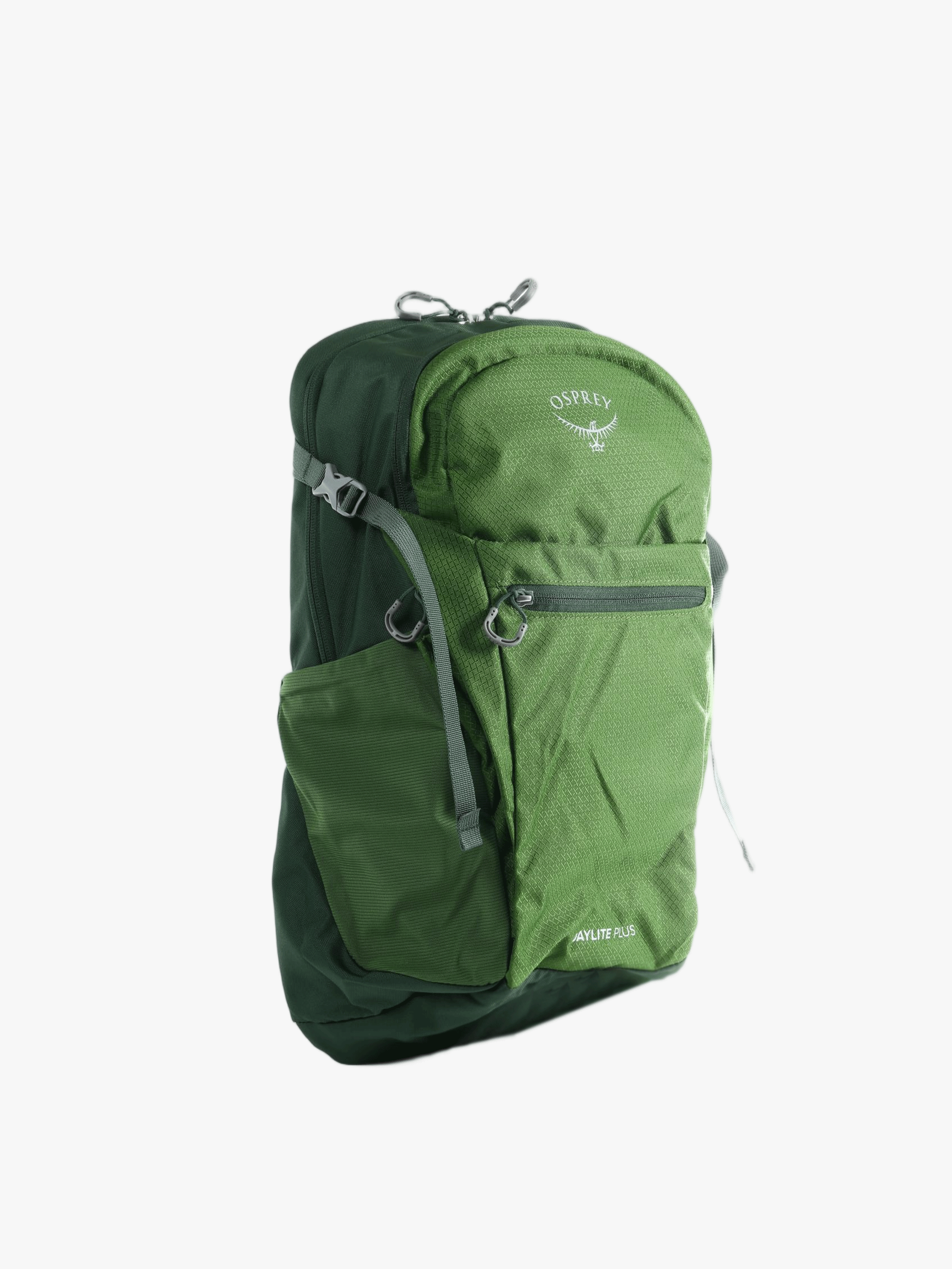Green bag, front view