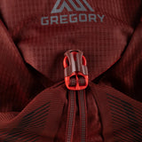 Burgundy bag, front view
