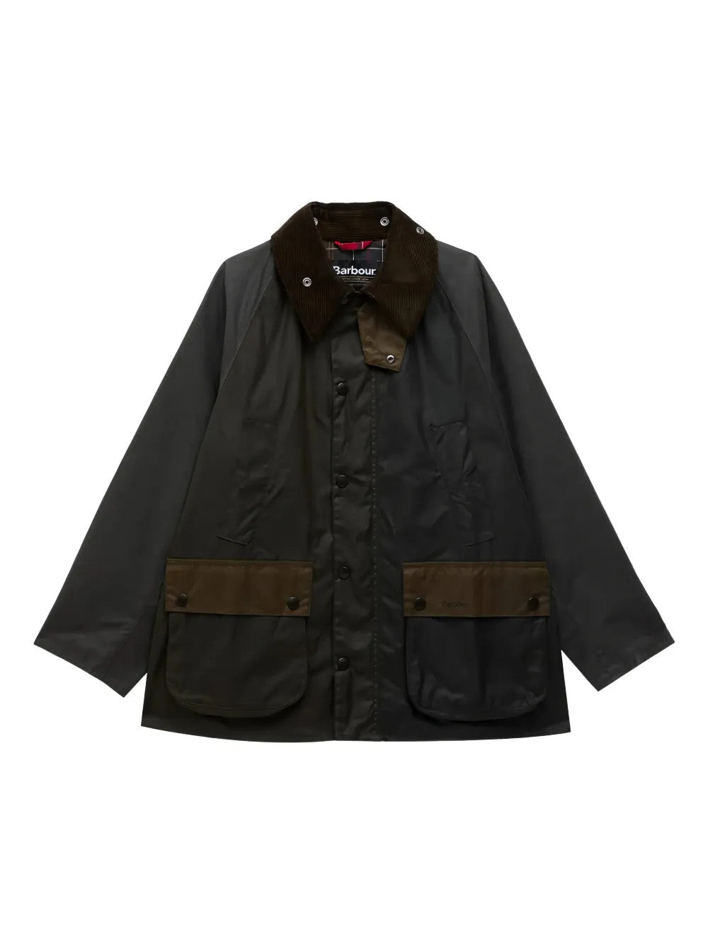 Green jacket, front view