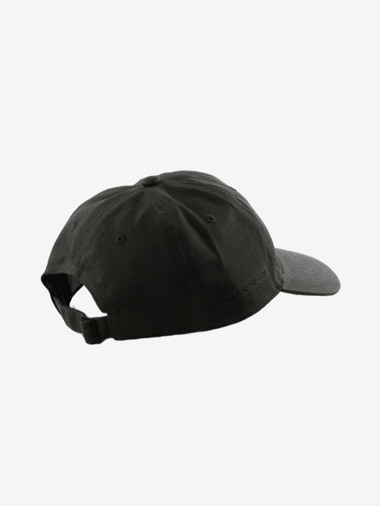 Black hat, back view