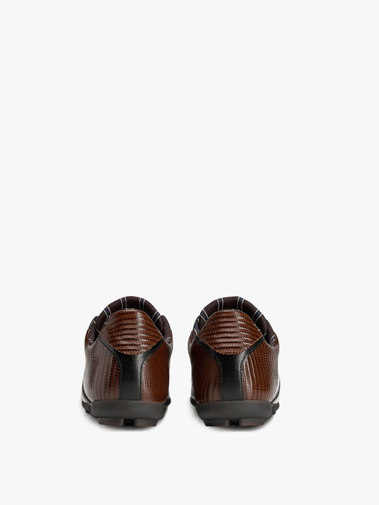 Brown shoes, back view