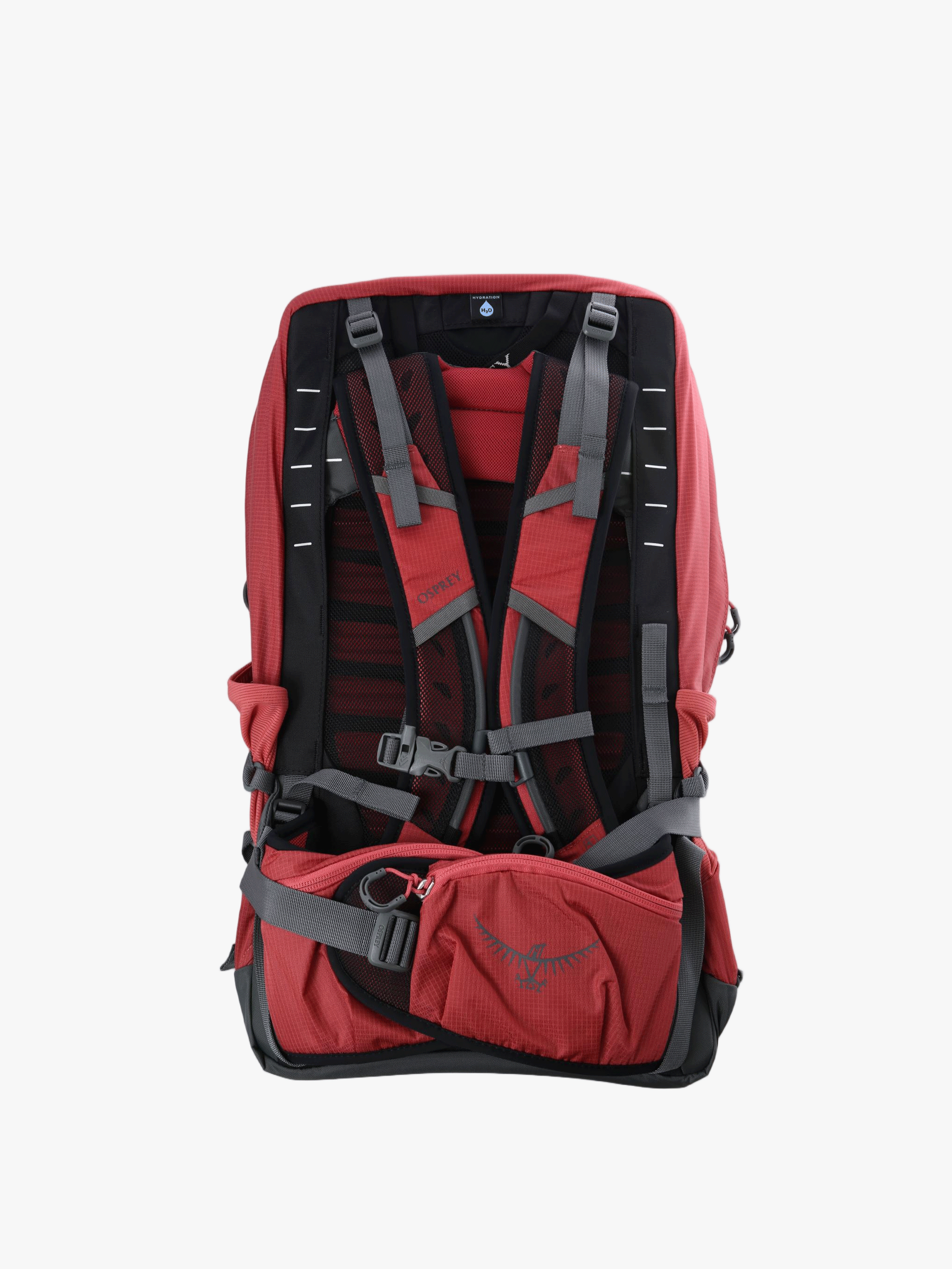 Red bag, back view