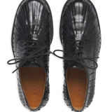 black shoes, top view