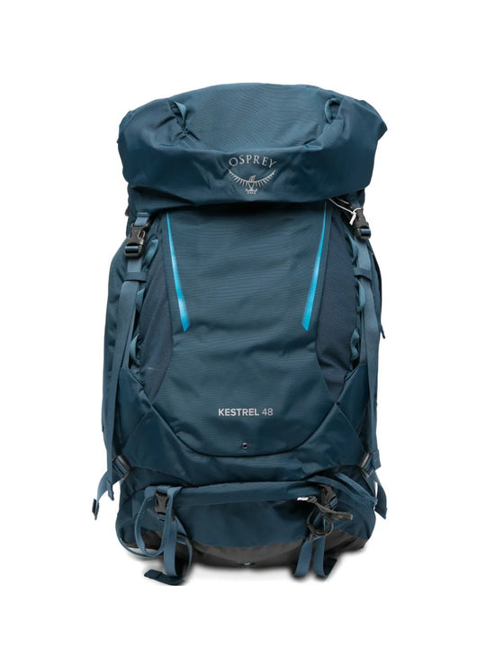 Blue bag, back view
