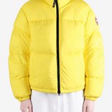 Yellow jacket, front view