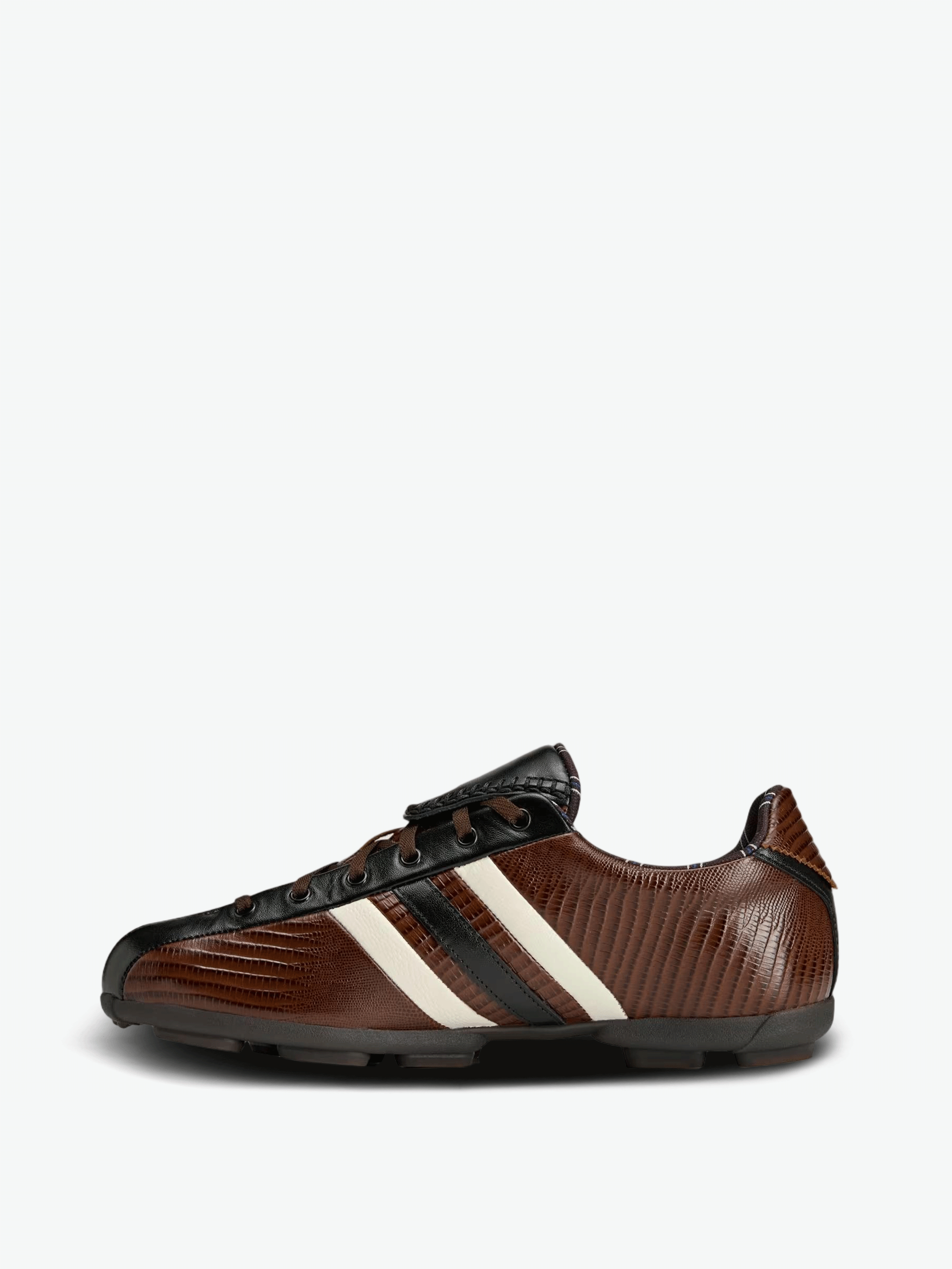 Brown shoes, side view