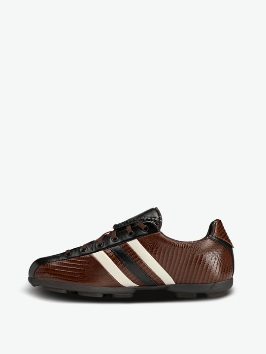 Brown shoes, side view