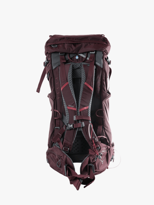 Purple bag, back view