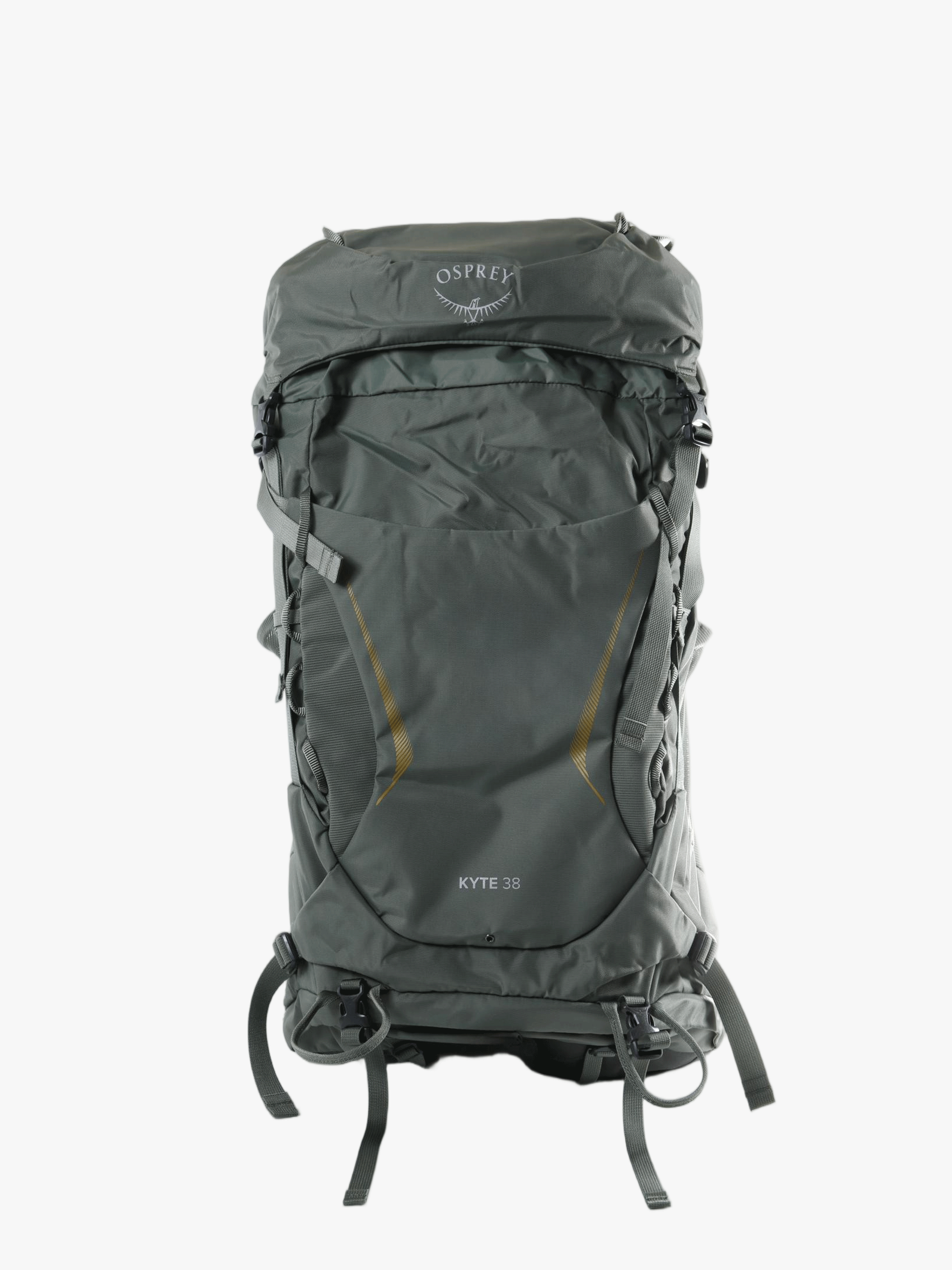 Green bag, back view
