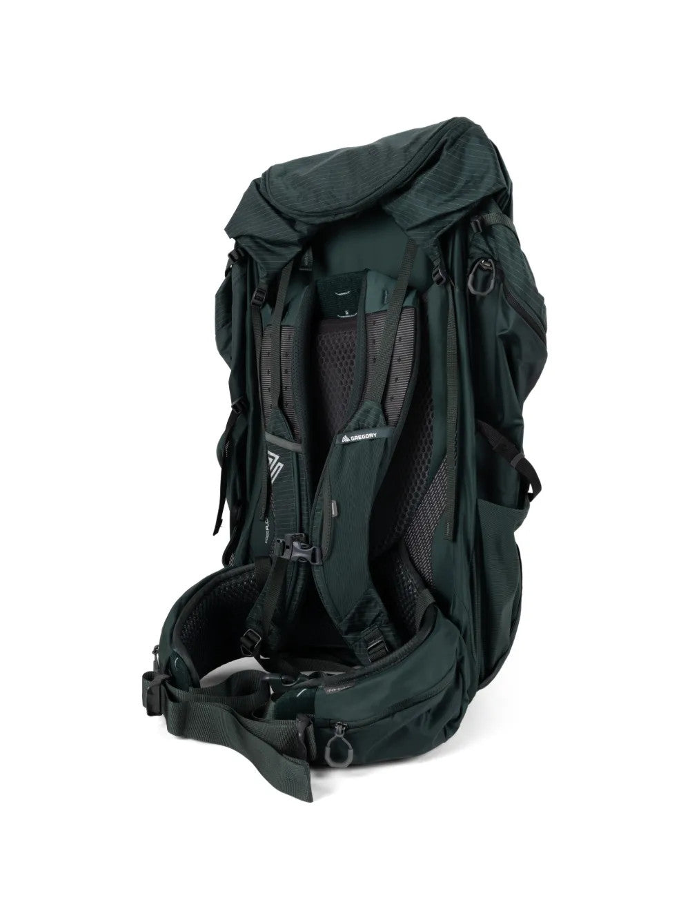 Green bag, back view
