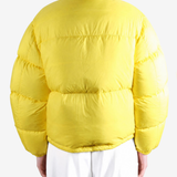Yellow jacket, full body view