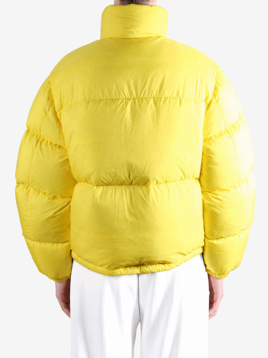 Yellow jacket, full body view