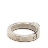 Grey rings, back view