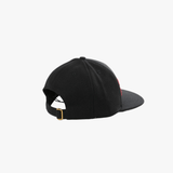 Black hat, back view