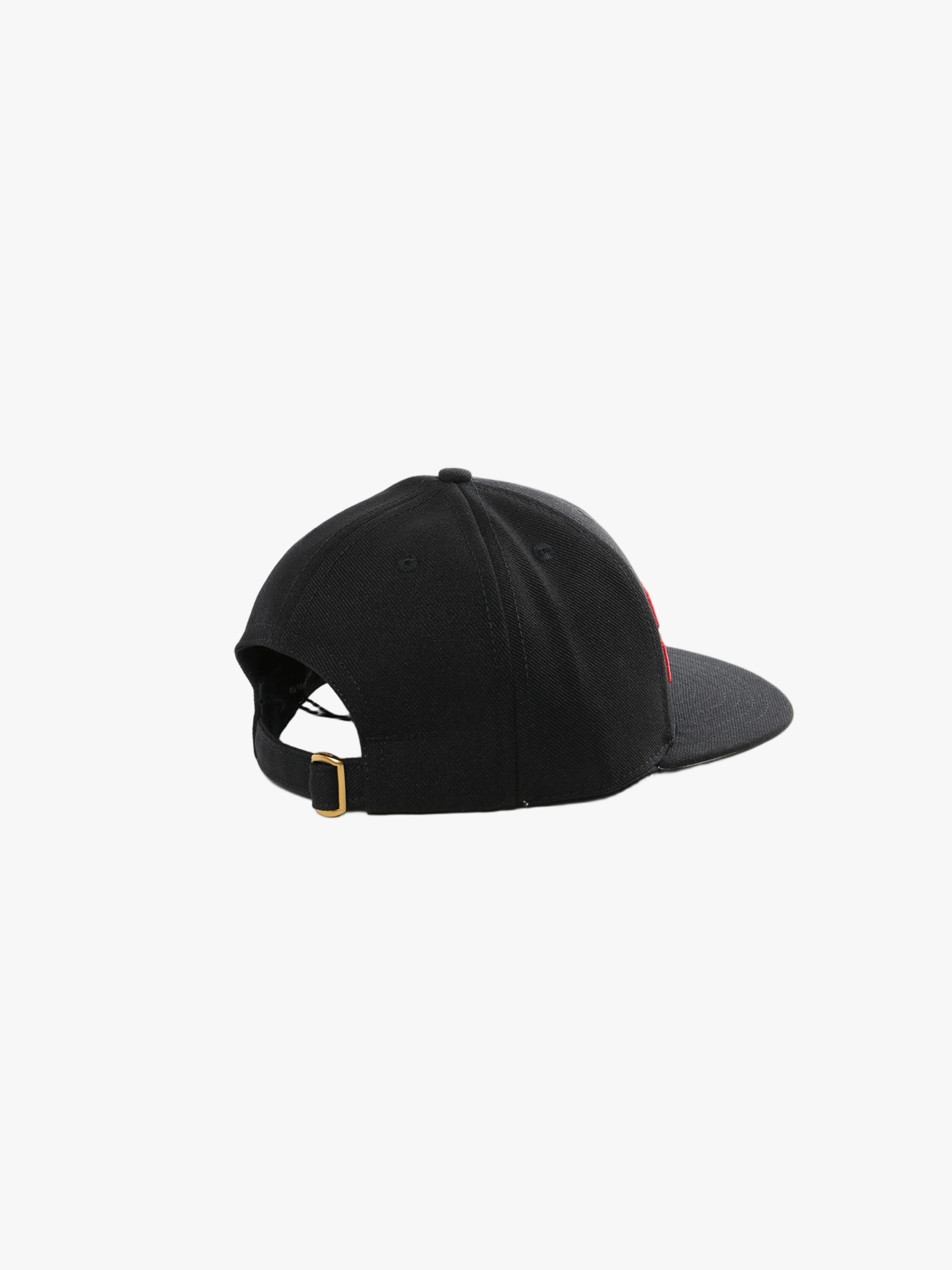 Black hat, back view