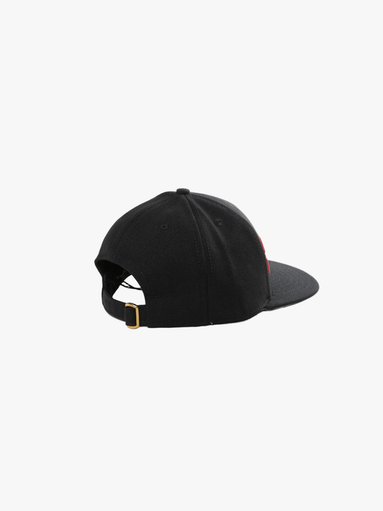 Black hat, back view