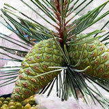 BYREDO - Gypsy Water Perfume 100ML